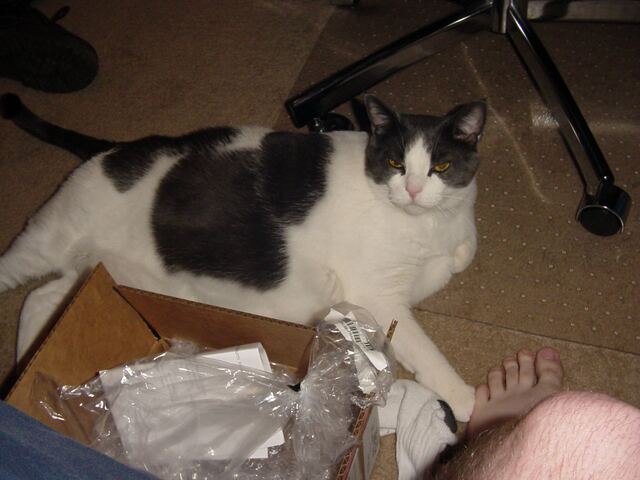 Baxter, photo 1