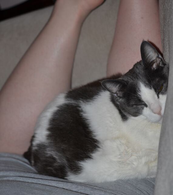 Sleeping on my legs