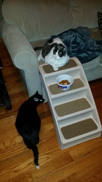 Keeping food away from Charlie