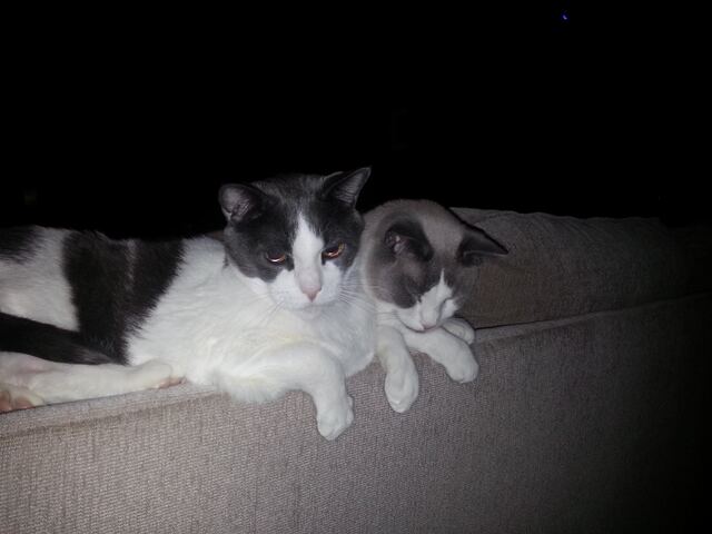 Watching Something