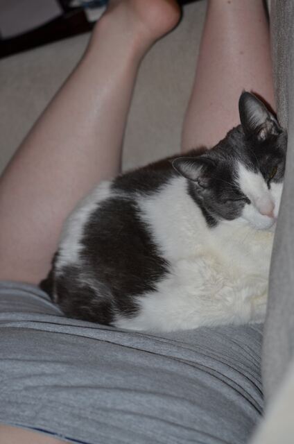 Baxter, photo 46